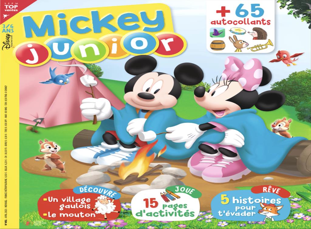 Catalogue Produits 15528 MICKEY JUNIOR 451